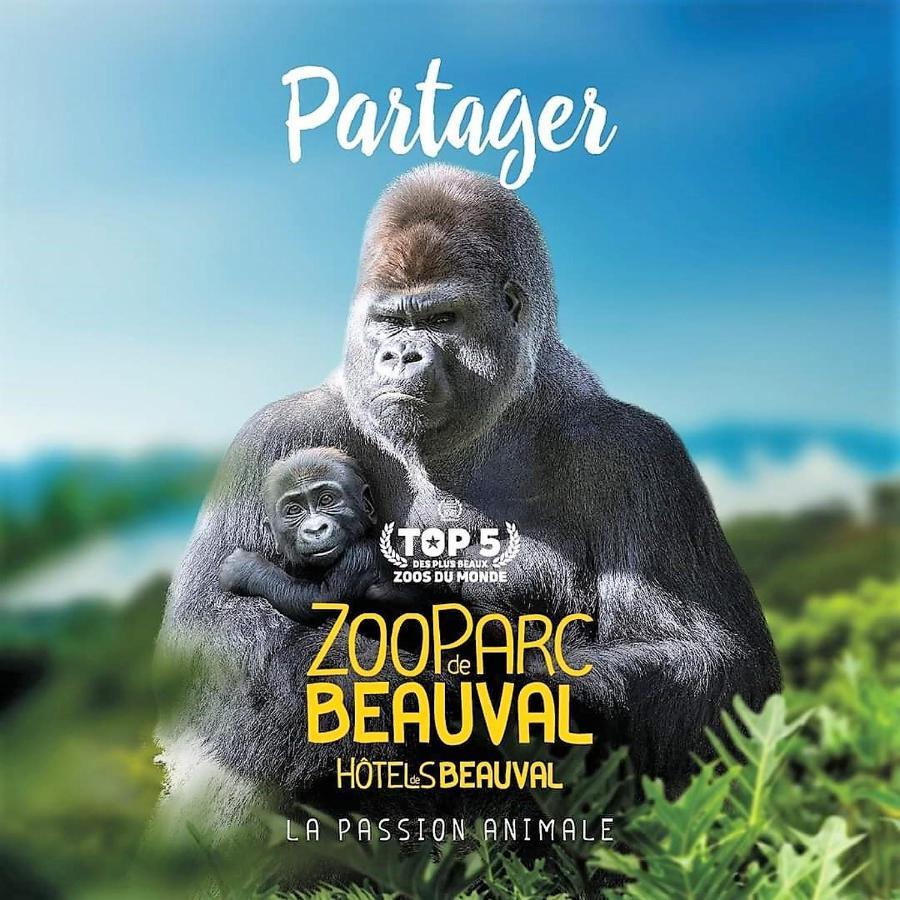 Les Bruyeres De Jeanne Et Rene Zoo De Beauval A 20Min,Chateaux Tout Inclus Fontguenand エクステリア 写真